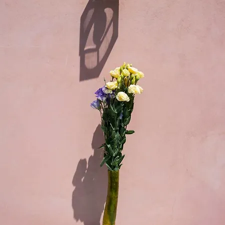 I Di Naxos * גיארדיני נאקסוס