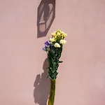 I Di Naxos * Giardini-Naxos