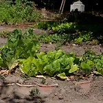 Сasa de vacaciones I Di Naxos Giardini-Naxos