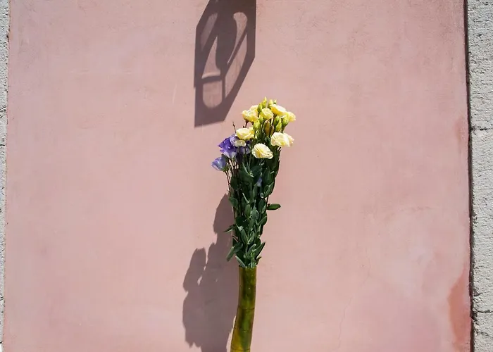 I Di Naxos * ジャルディーニ・ナクソス