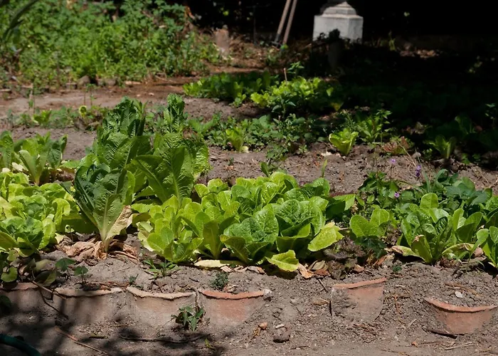 別荘 I Di Naxos ジャルディーニ・ナクソス